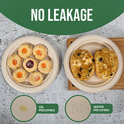 Small Disposable Paper Plates 6 inch (100 Count)