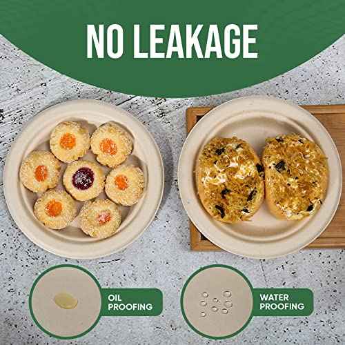 Small Disposable Paper Plate 6 inch (100 Count)