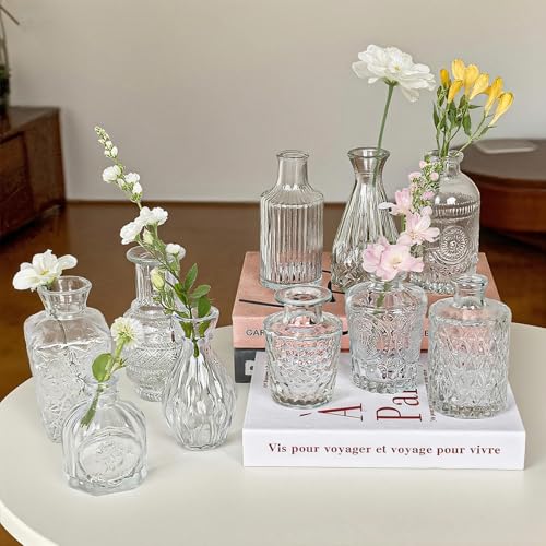 Glass Bud Vase Set of 10 Pcs Small Minimalist Vases for Flowers (10 Count)