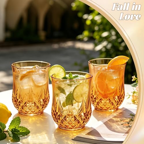 24 Pack Plastic Stemless Wine Glasses (24 Count)