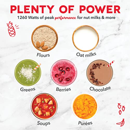 Quest Blender for Smoothies and Shakes