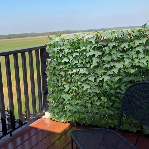Expandable Fence Privacy Screen