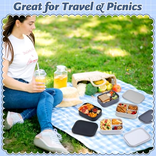 4 Pcs Silicone Bento Box (4 Count)