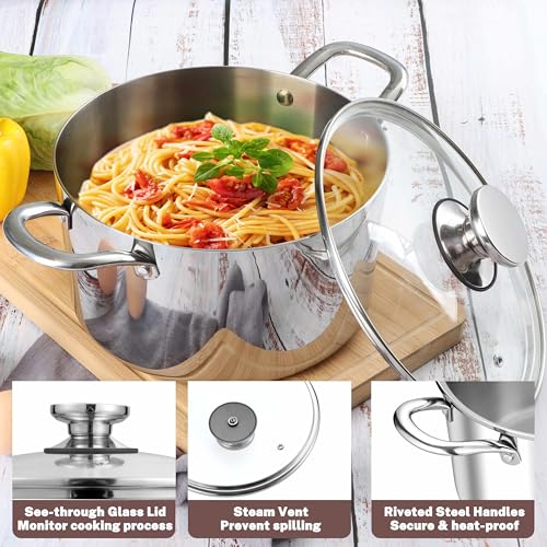 6 Quart Stock Pot