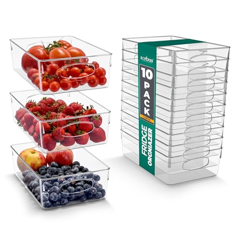 Fridge Organizers and Storage (10 Count)