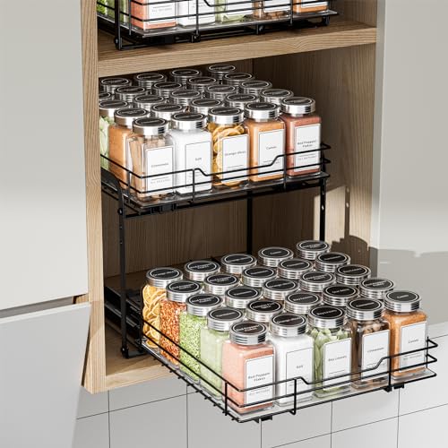 2 Tier Spice Rack Organizer