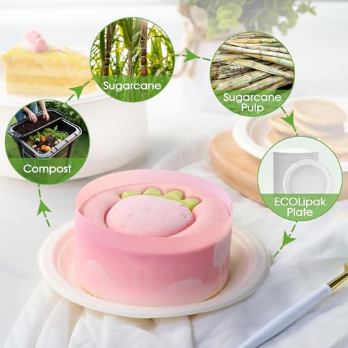 6 in 500 Pack White Disposable Compostable Dessert Paper Plates (500 Count)