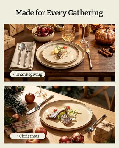 Milkyway 24 Piece Stoneware Dinnerware Set