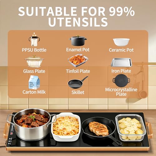 Electric Warming Tray