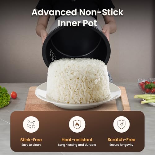 Commercial Rice Cooker and Warmer (30 Count)