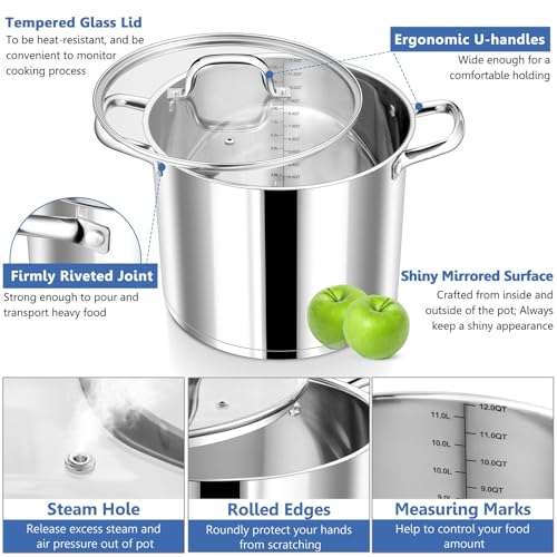 12 QT Stainless Steel Stock Pot with Lid