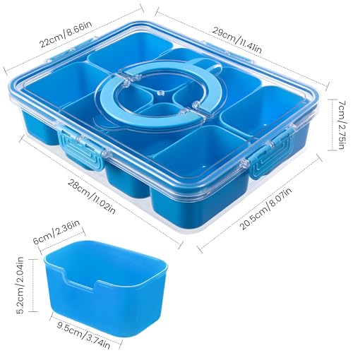 Divided Serving Tray with Lid and Handle
