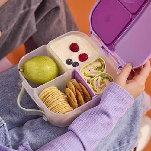 Mini Lunch Box