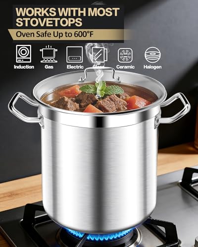 Stainless Steel 20 Quart Stockpot with Tempered Glass Lid