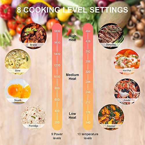 Portable Double Induction Cooktop
