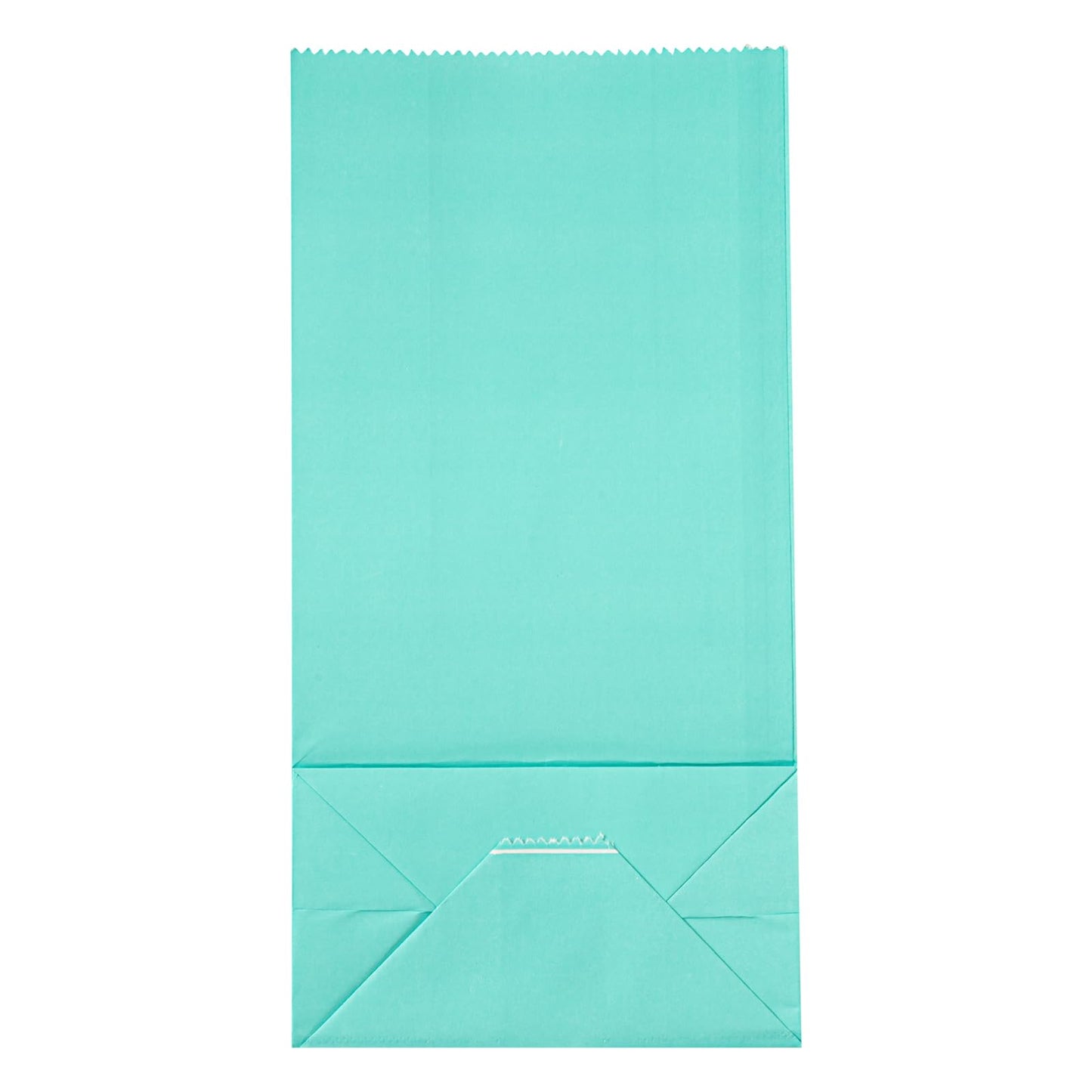 Turquoise Paper Bag (100 Count)