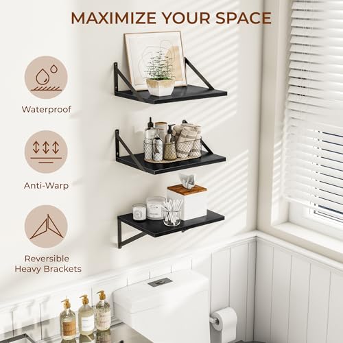 16W x 12D Deep Floating Shelves Set of 3 Black (3 Count)