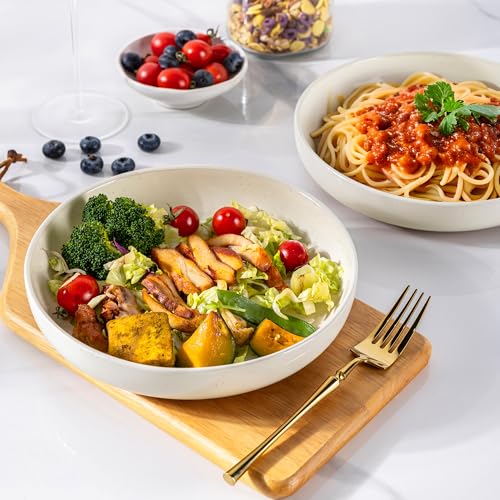 8.75'' Large Ceramic Pasta Bowls (4 Count)