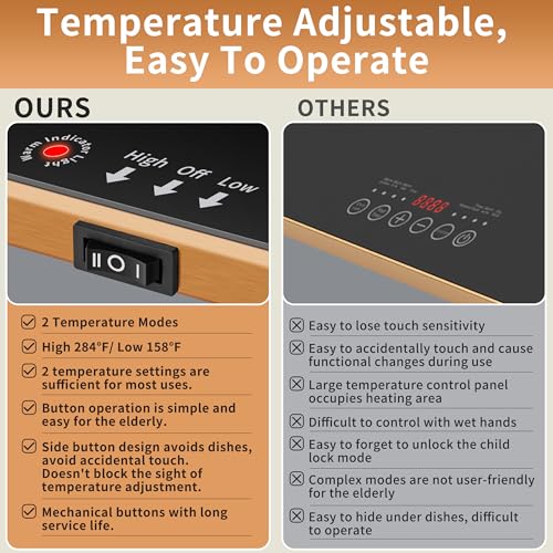 Electric Warming Tray