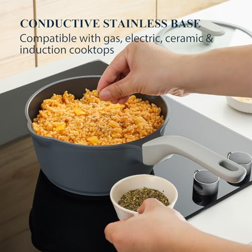 Nonstick Saucepan Set with Lids (2 Count)