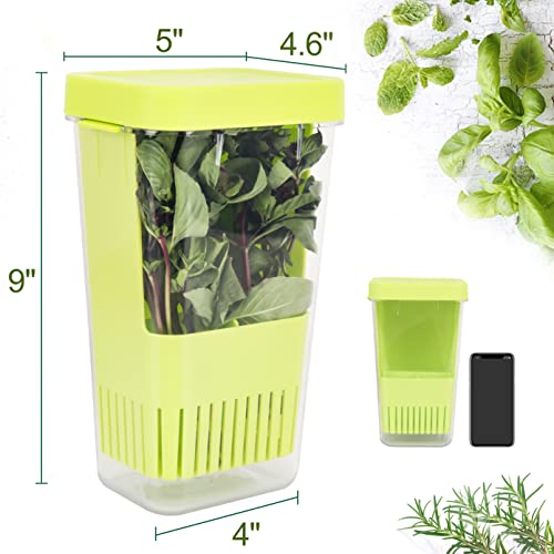 Herb Keeper BPA