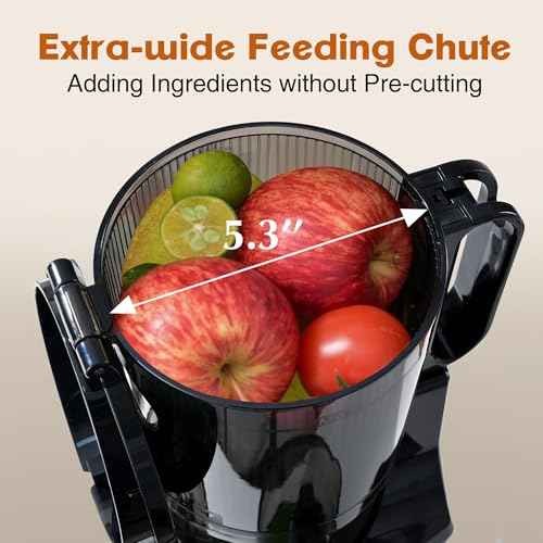 Cold Press Juicer