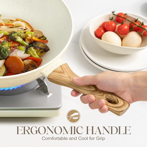 12 Inch Wok Pan with Lid
