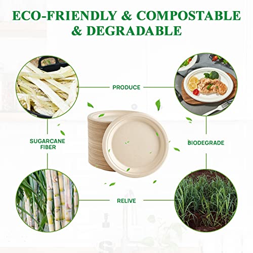 200 Pack Compostable Bagasse Paper Plates 6.9 inch (200 Count)