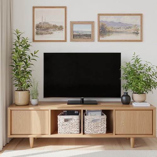 Wicker Storage Baskets for Shelves (2 Count)