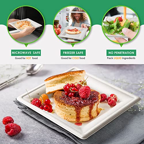 Samll Compostable Square Paper Plates 6 Inch 100 Pack Disposable (100 Count)