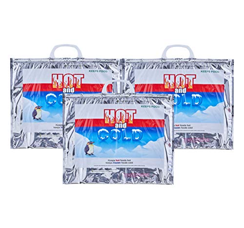 Hot and Cold Insulated Bags for Food Delivery (3 Count)