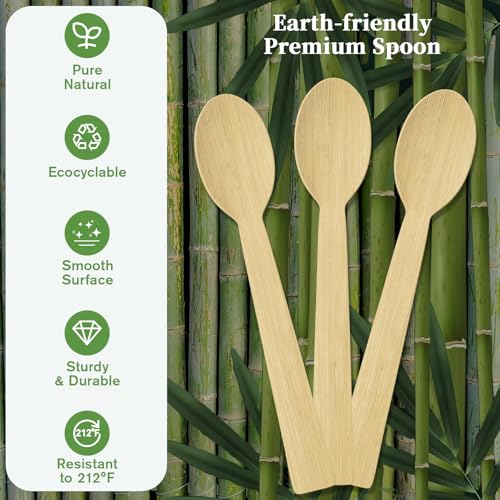 300 Count Disposable Compostable Bamboo Spoons for Party