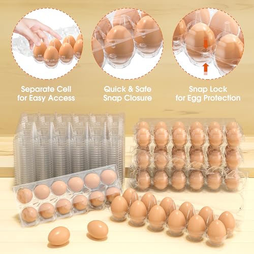 80 Pack Egg Cartons Cheap Bulk (80 Count)