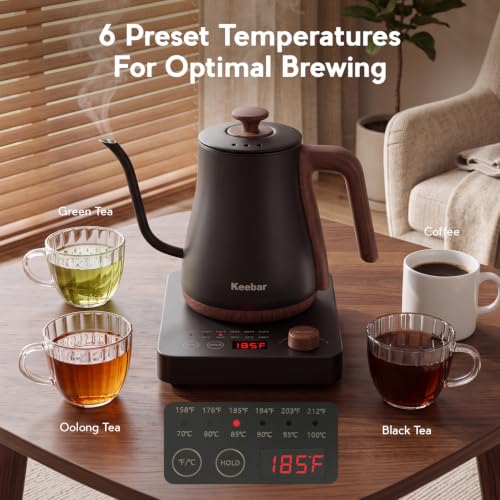 Gooseneck Electric Kettle
