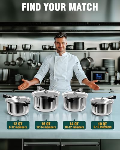 Stainless Steel Pressure Cooker