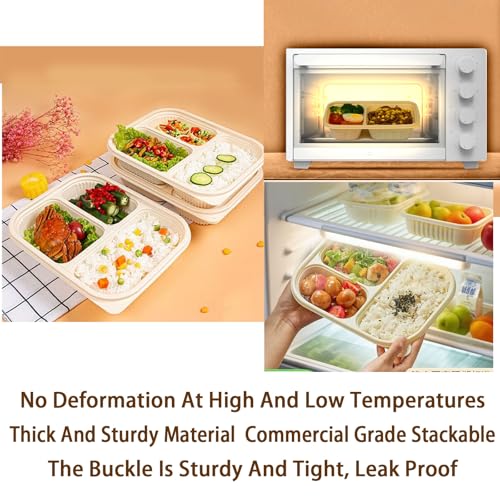 30 Pack of 3 Compartment Disposable Biodegradable containers (30 Count)