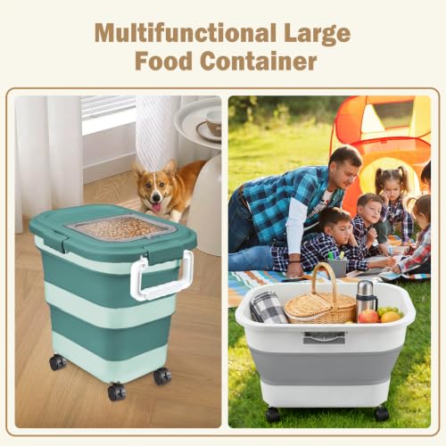 Rice Storage Container10