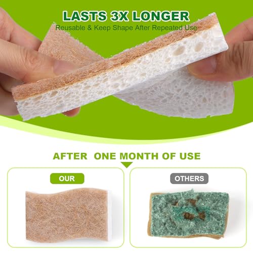 Kitchen Dish Sponges (24 Count)
