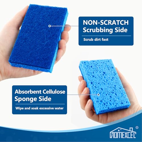 Sponges Kitchen 12 PK (12 Count)