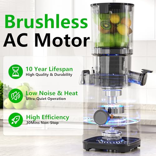 Cold Press Juicer