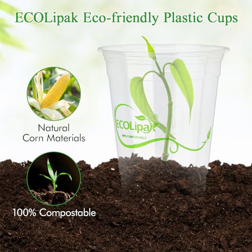 1000 Count 16 OZ Clear Compostable Plastic Cups for Restaurant
