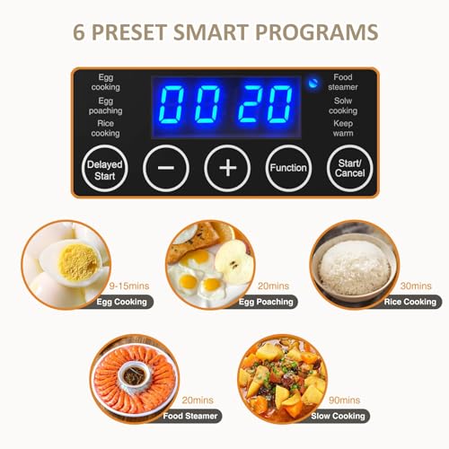 2 Tiers Electric Food Steamer for Cooking (2 Count)