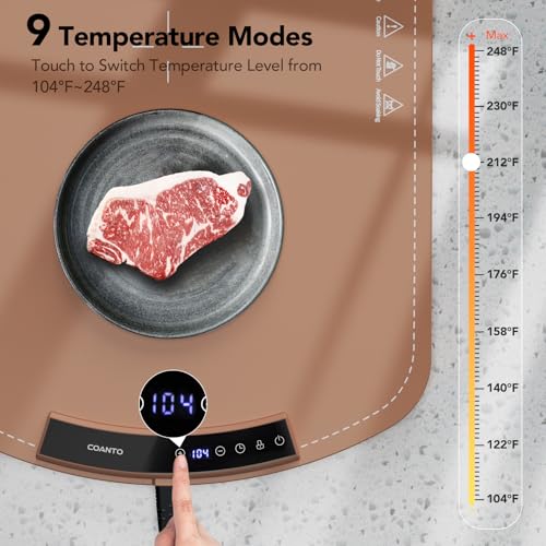 Food Warming Mat