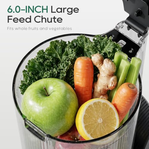 3-in-1 Cold Press Juicer C16, Makes Juice & Sorbet & Nut Milk