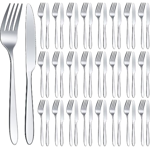 50 Pieces Stainless Steel Forks Silverware Set Dinner Forks and Knives Flatware Tableware Cutlery Set for Kitchen Restaurant (50 Count)