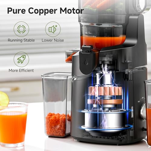 Cold Press Juicer