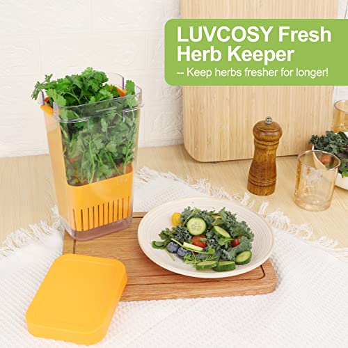 Herb Keeper Set