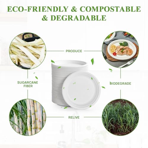 350 Pack Compostable Bagasse Paper Plates 6.9 inch (350 Count)