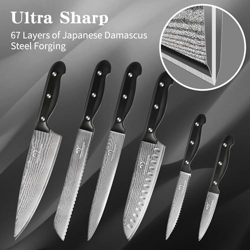 9 Piece Japanese Damascus Kitchen Knife Set with Block (9 Count)