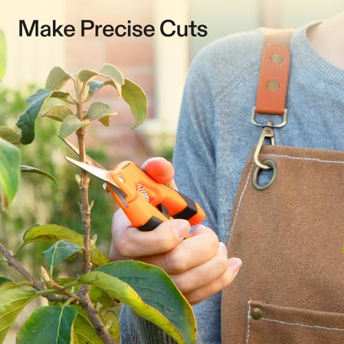 6.5 Inch Garden Scissors (12 Count)